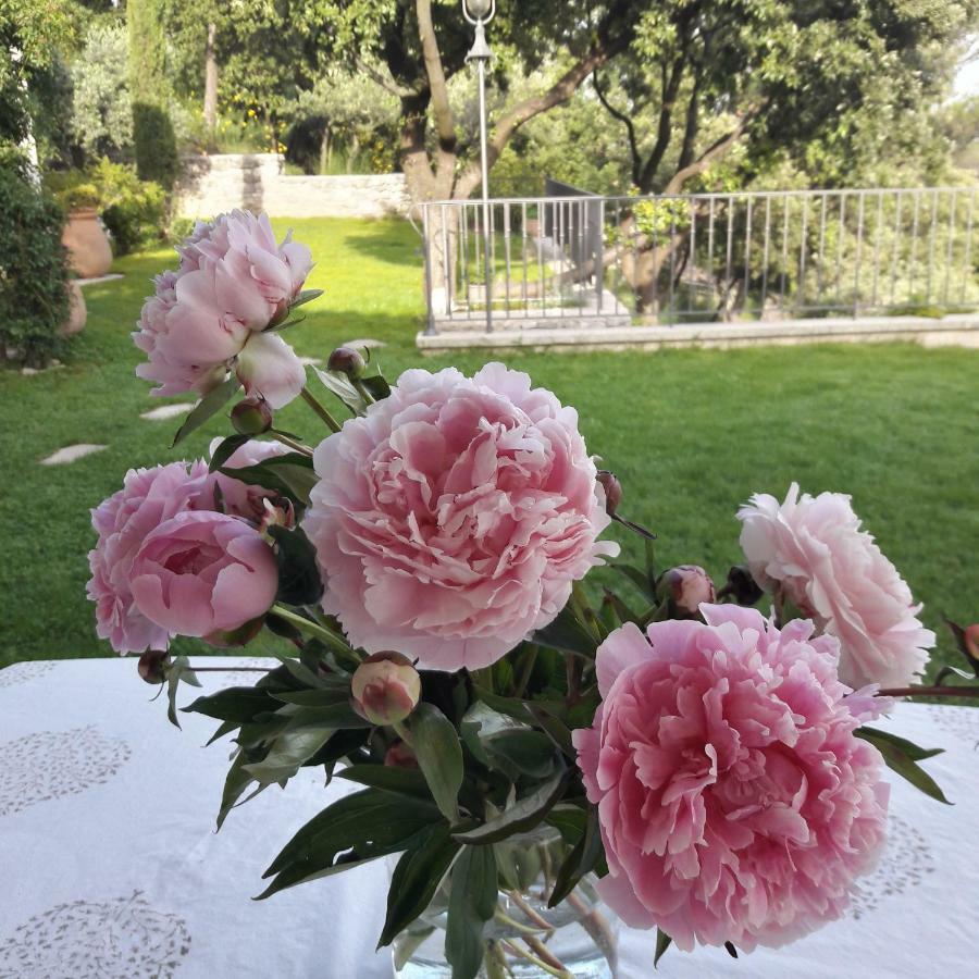 Provence Dodo Bed and Breakfast Villeneuve  Εξωτερικό φωτογραφία